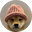WIF-USDT icon