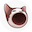 POPCAT-USDT icon