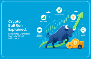 Crypto Bull Run